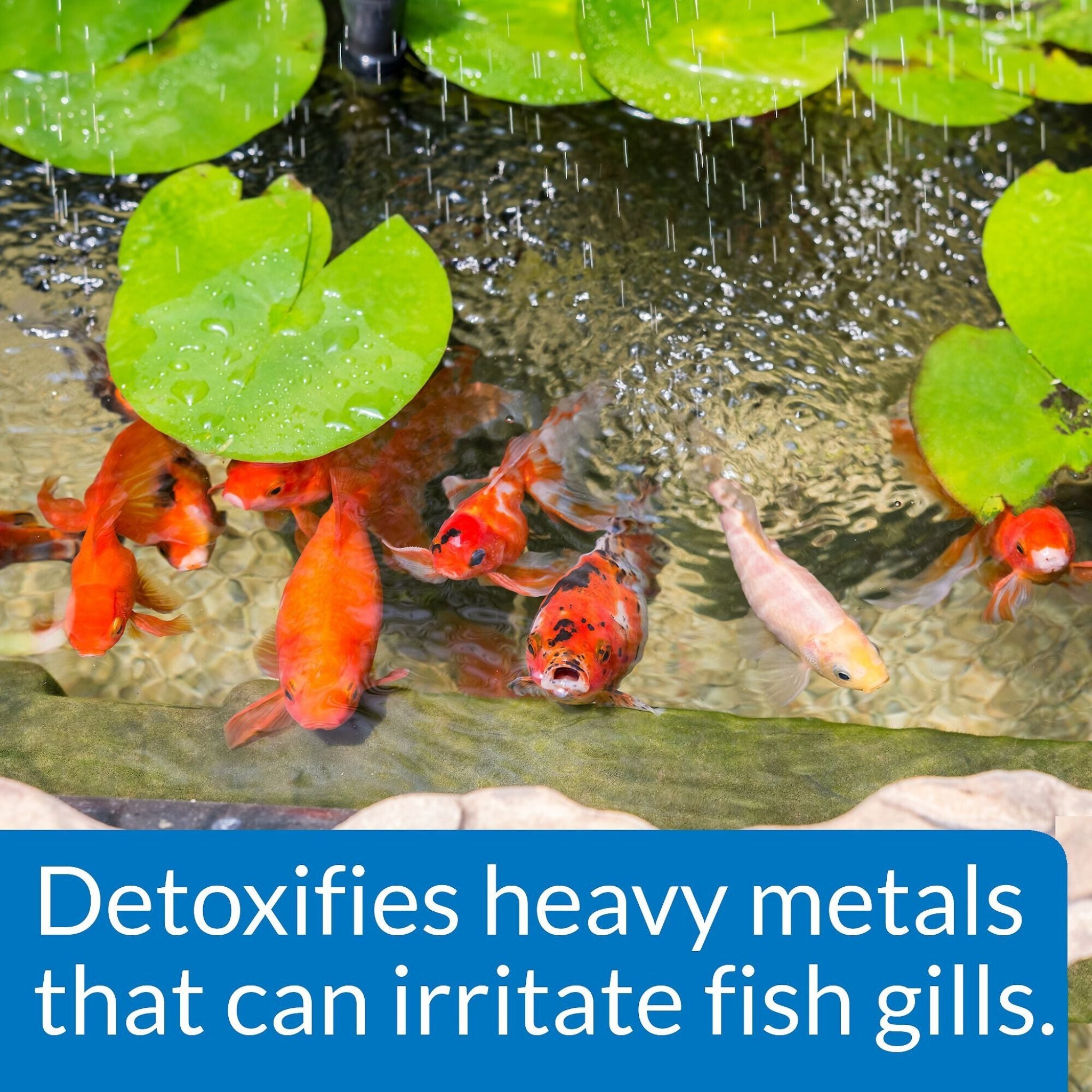 API Pond Care Chlorine And Heavy Metal Detoxifier