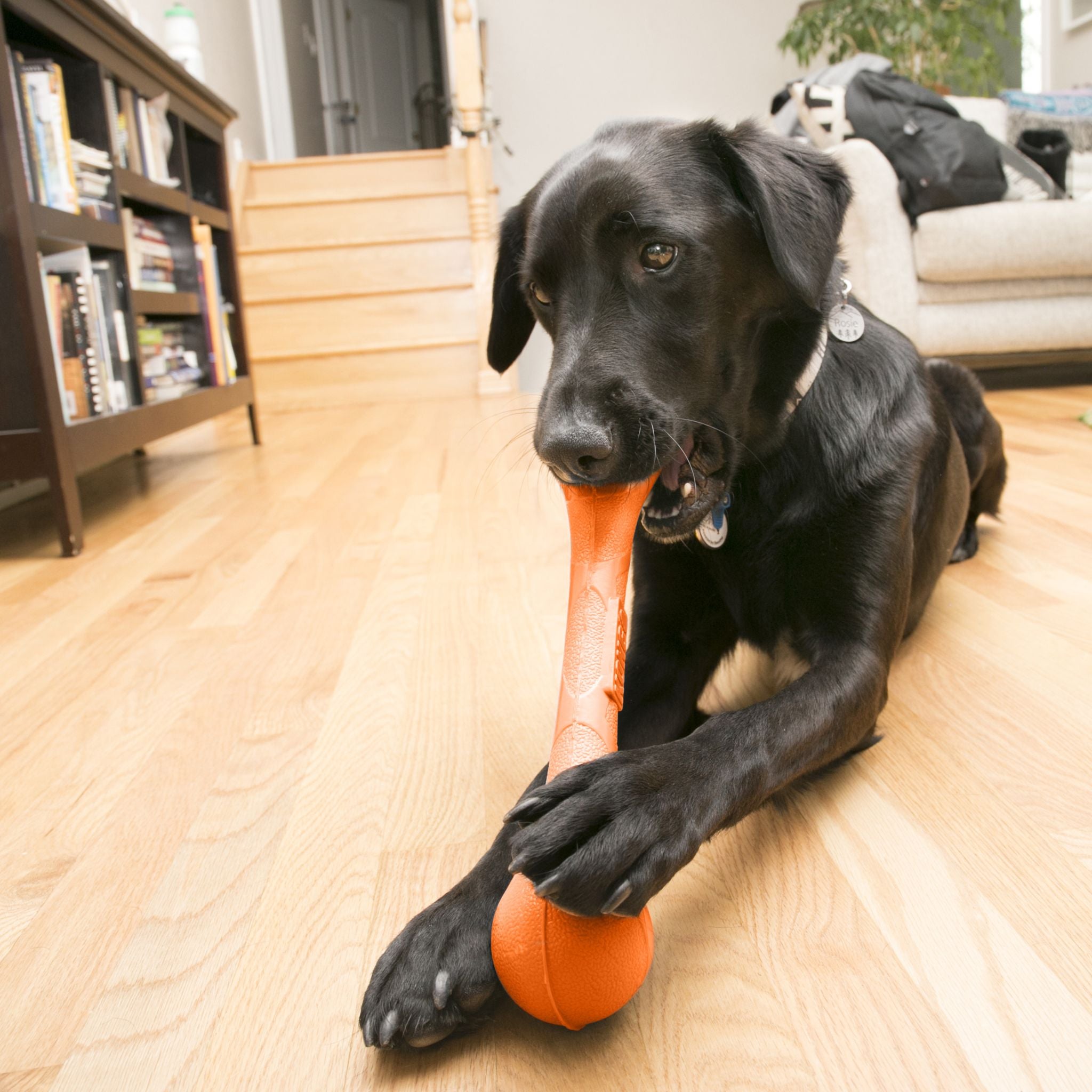 KONG SqueakStix Dog Toys