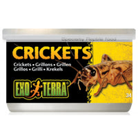 34g tin of Exo Terra Crickets reptile treats, front of pack