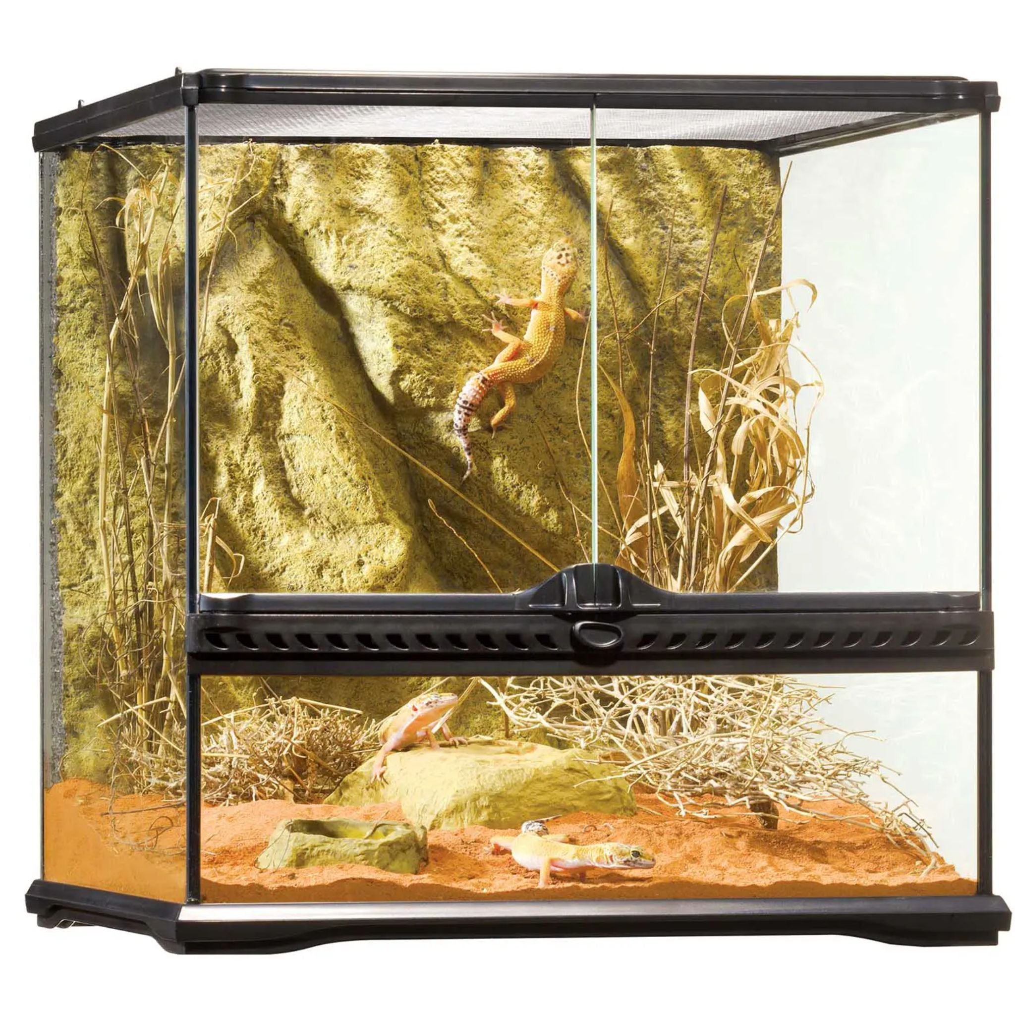 Exo Terra Natural Terrariums