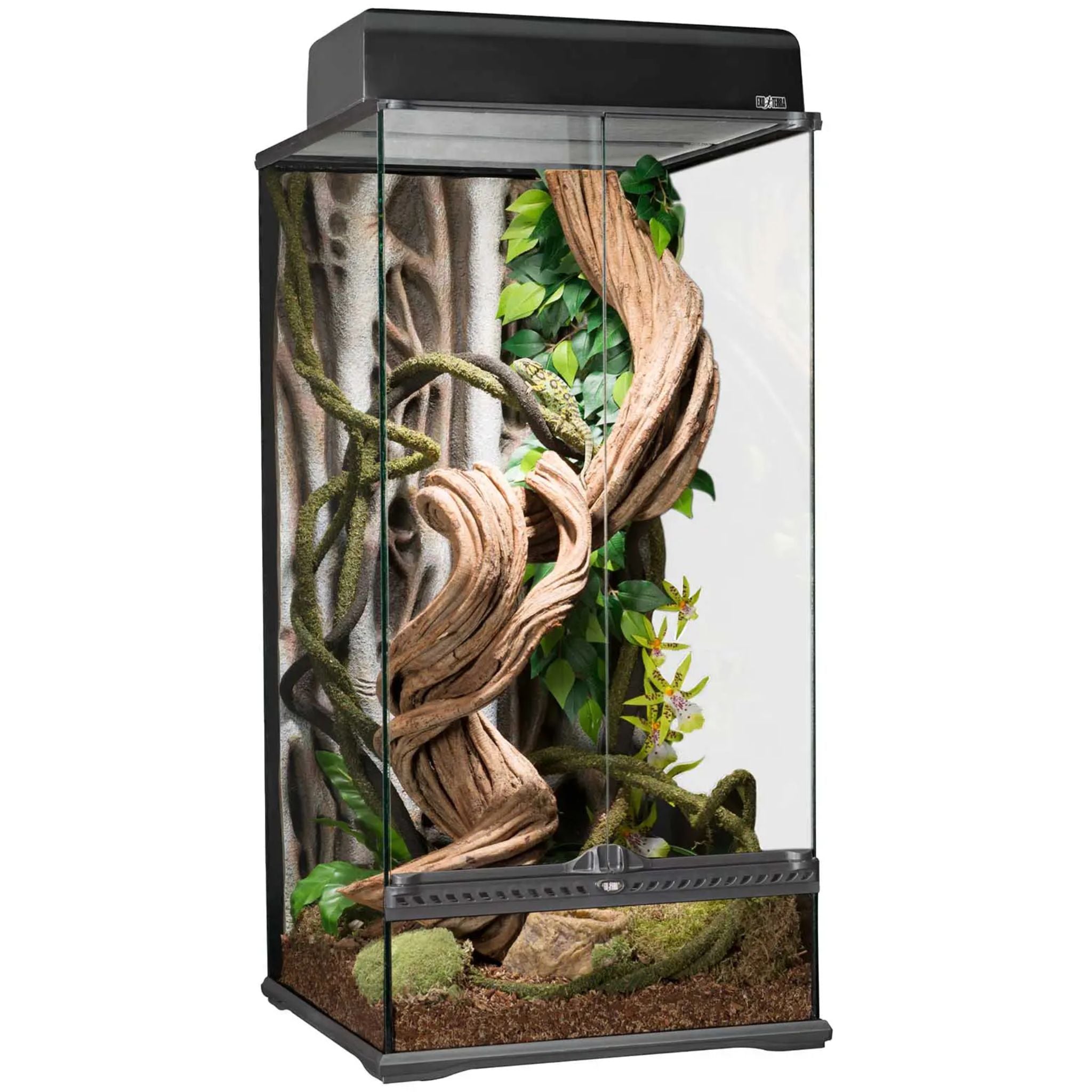Exo Terra Natural Terrariums