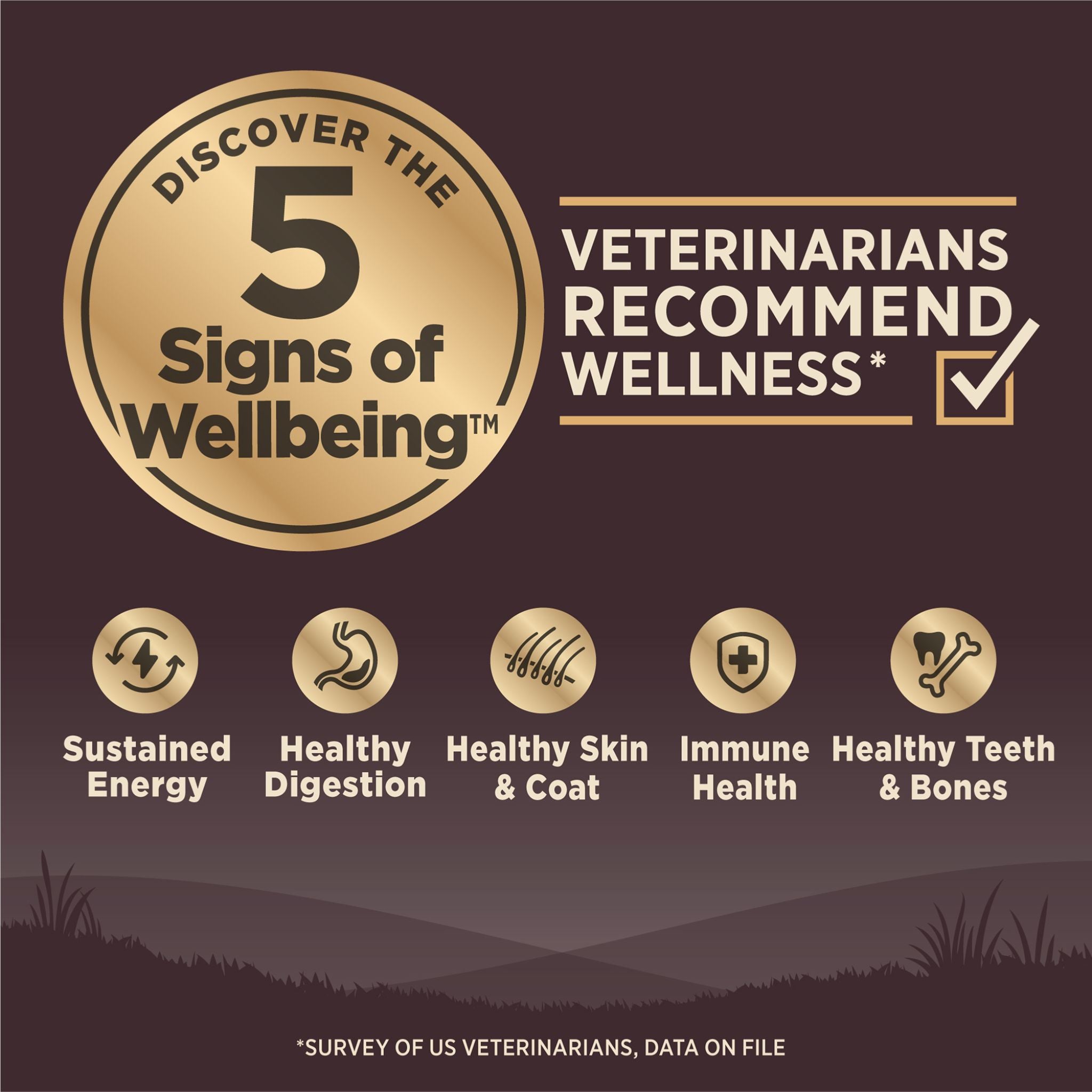 Wellness Core Dry Dog Food Grain Free Wild Game: Duck, Lamb, Wild Boar & Rabbit