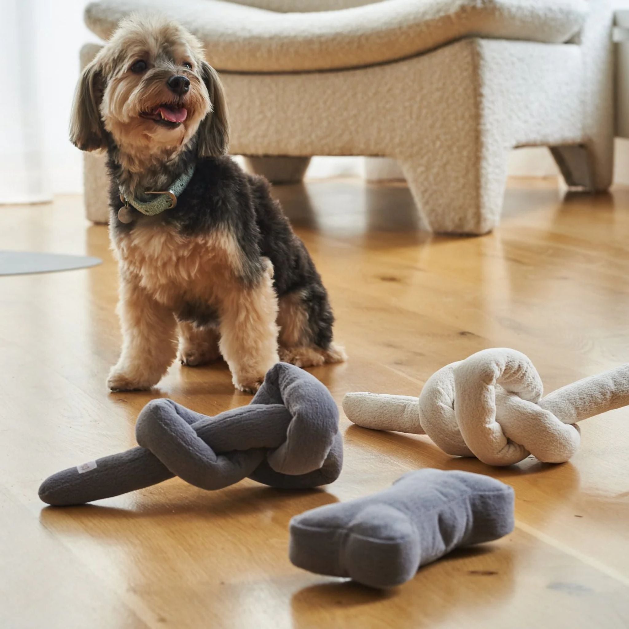Lilly and Dash Knot Dog Toy