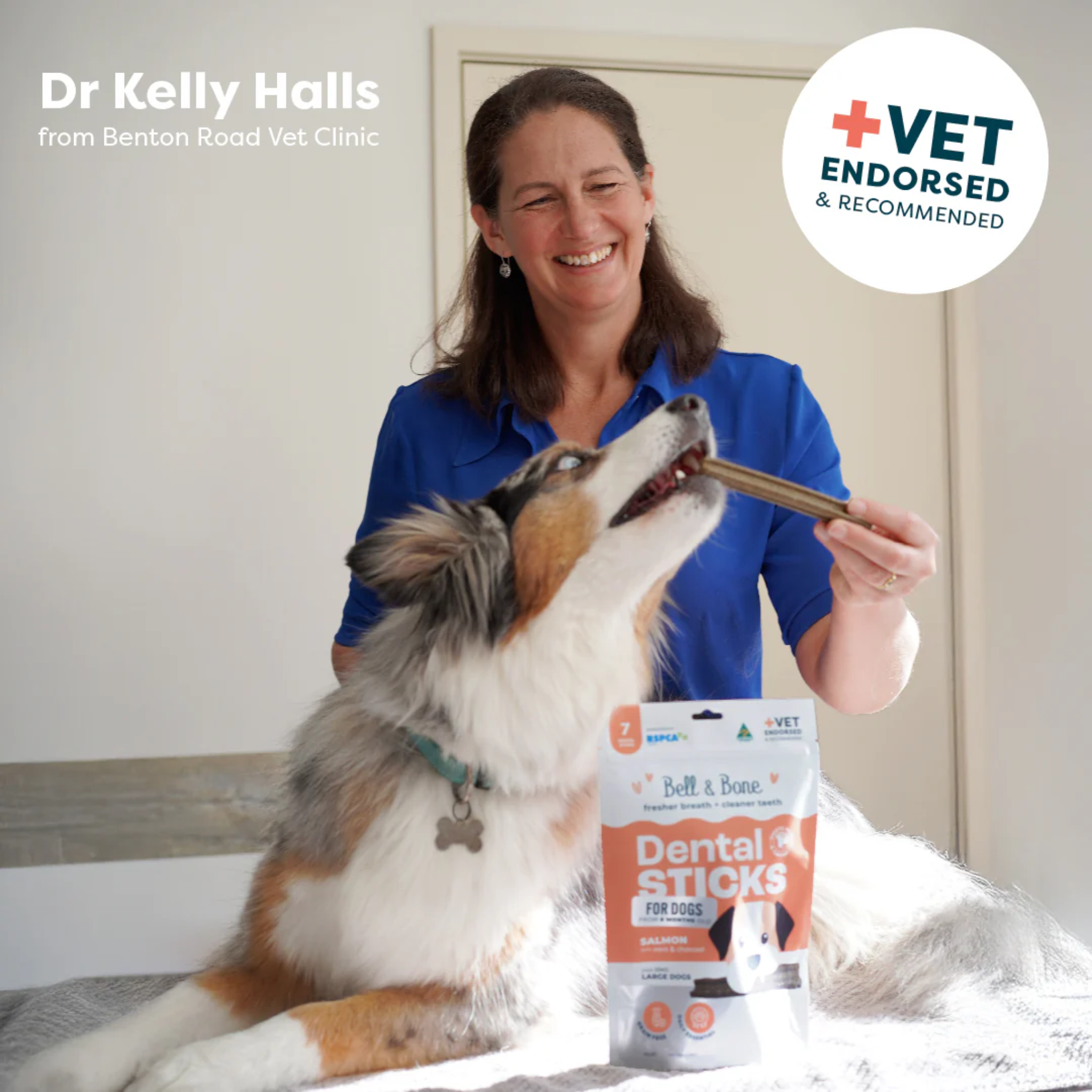 Bell and Bone Dental Sticks for Adult Dogs - Salmon, Mint & Charcoal