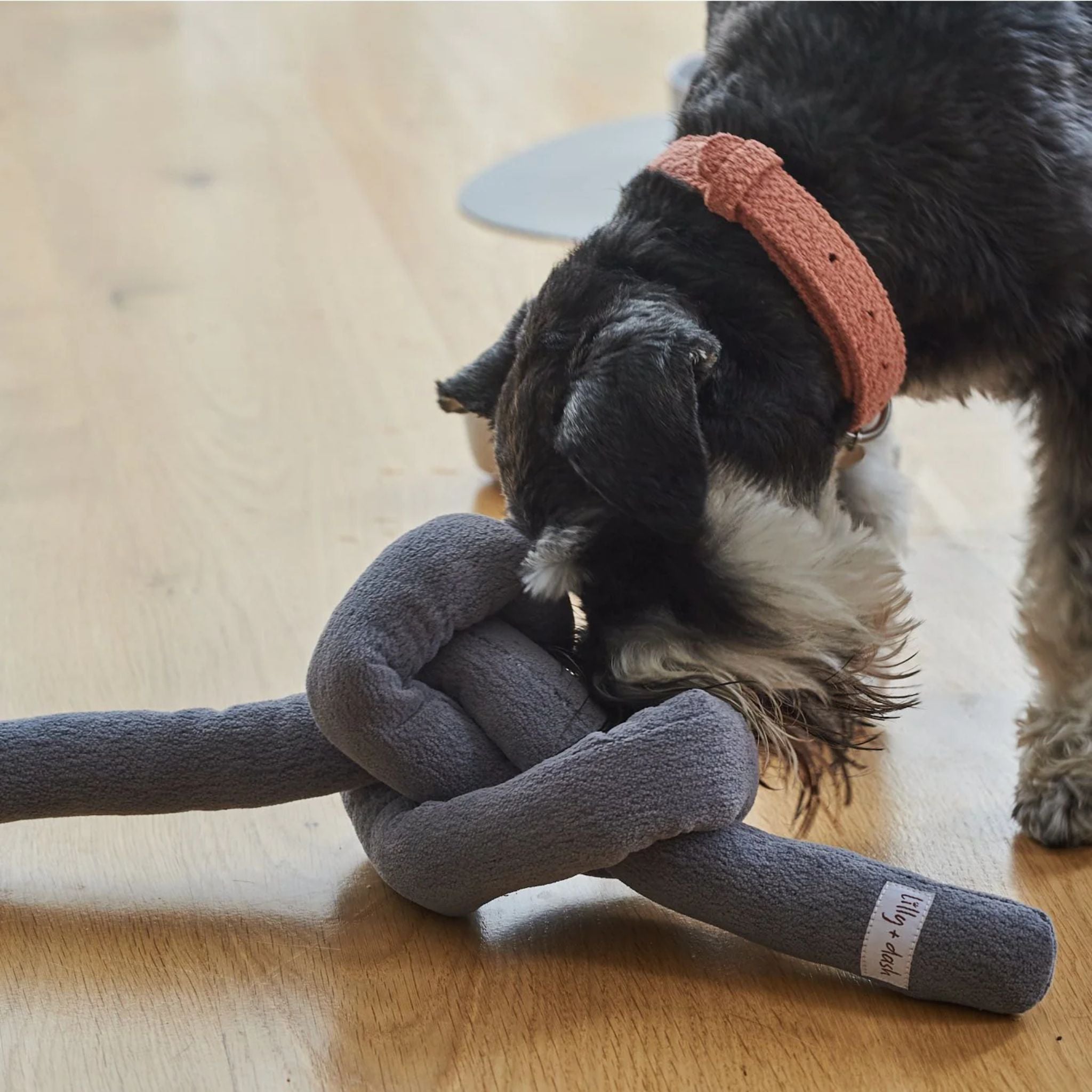 Lilly and Dash Knot Dog Toy
