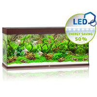 Juwel RIO 240L aquarium with dark wood trim, planted and lit by its LED bar