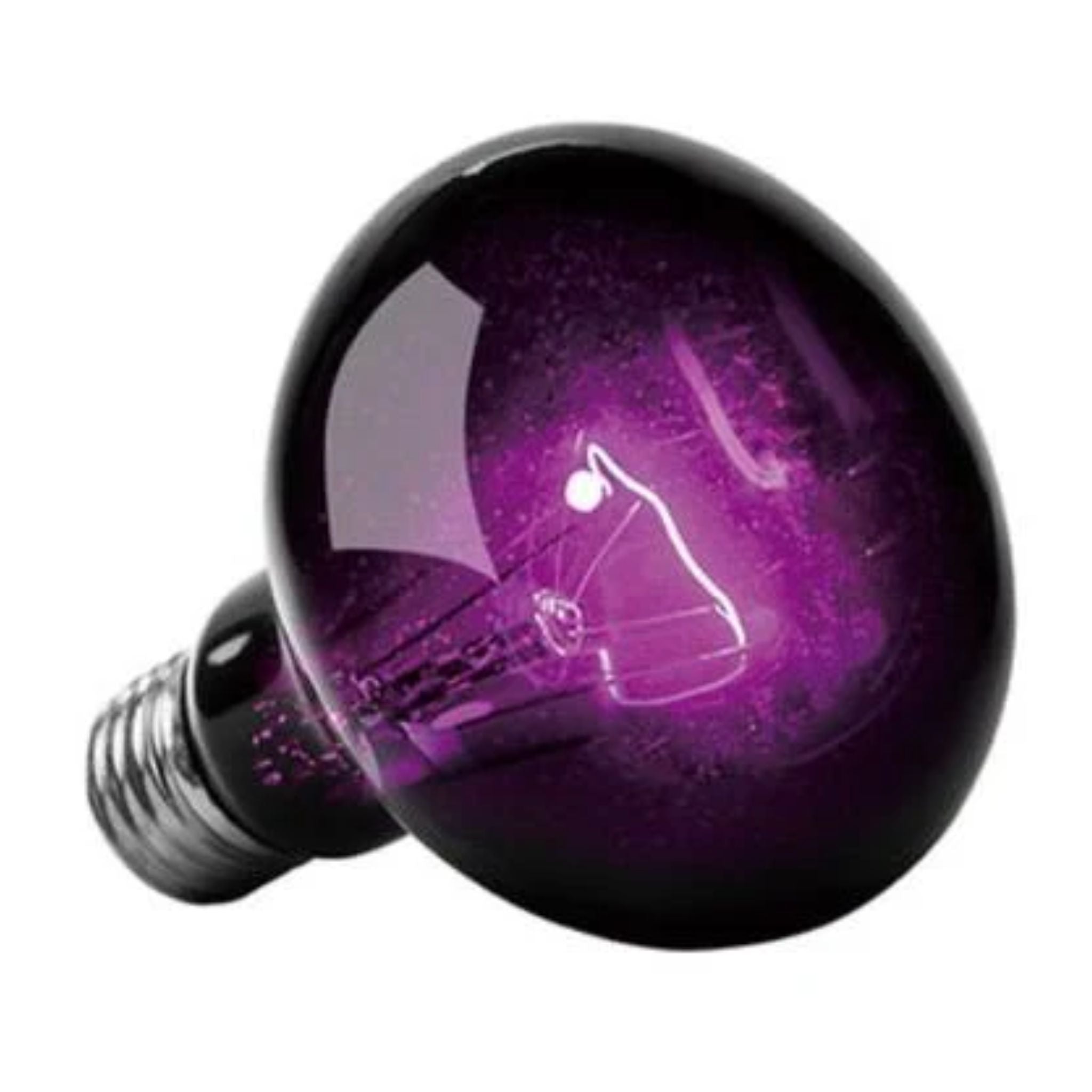 URS Oz Purple Night Globe