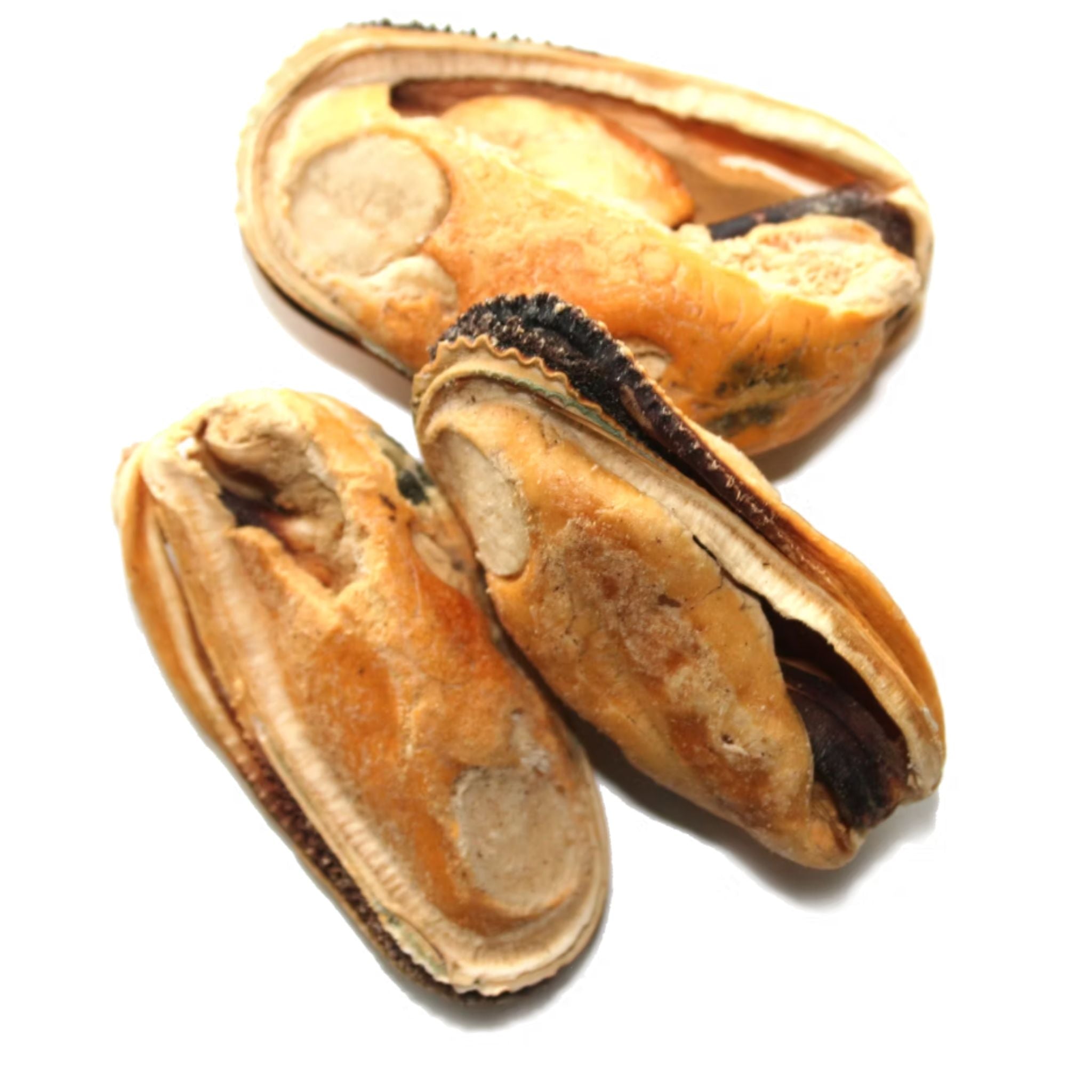 The New Zealand Natural Woof Freeze Dried Dog Treat Green-Lipped Mussels