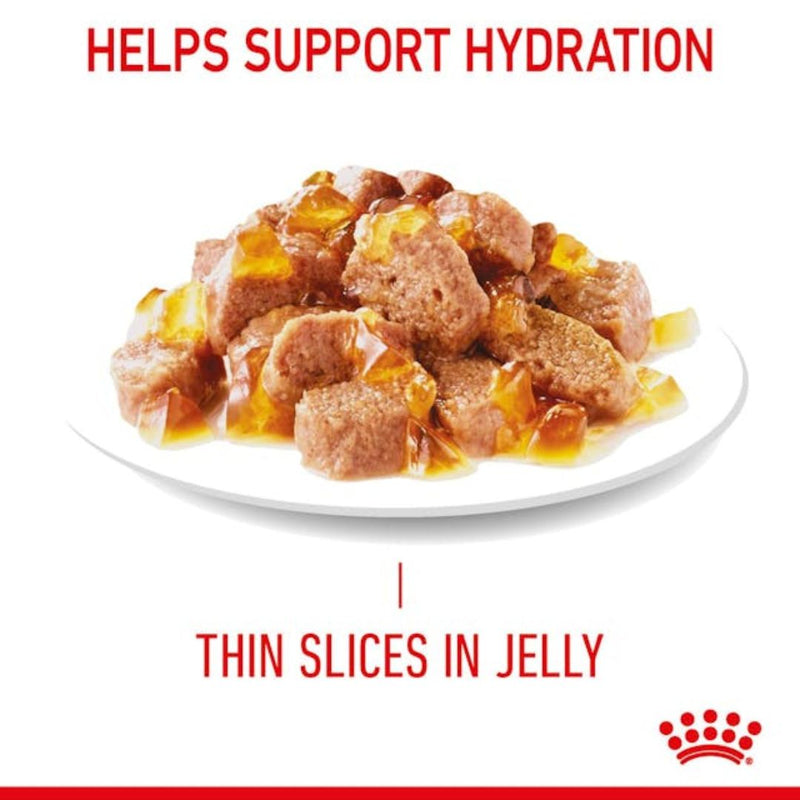 Royal Canin Hairball Care Wet Cat Food in Jelly - 85g x 12 | PeekAPaw Pet Supplies