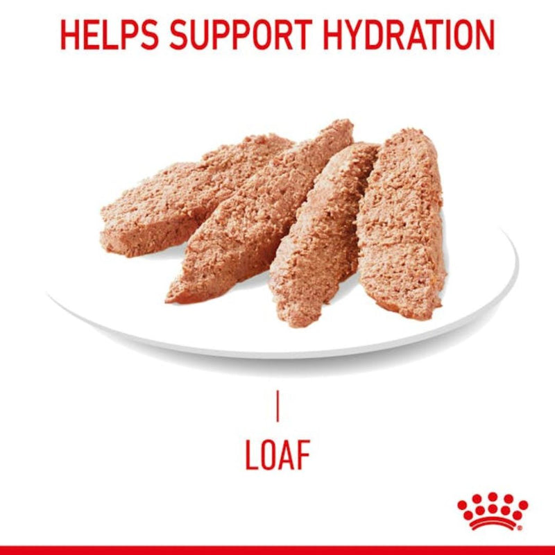 Royal Canin Digestive Care Wet Cat Food in Loaf - 85g x 12 | PeekAPaw Pet Supplies
