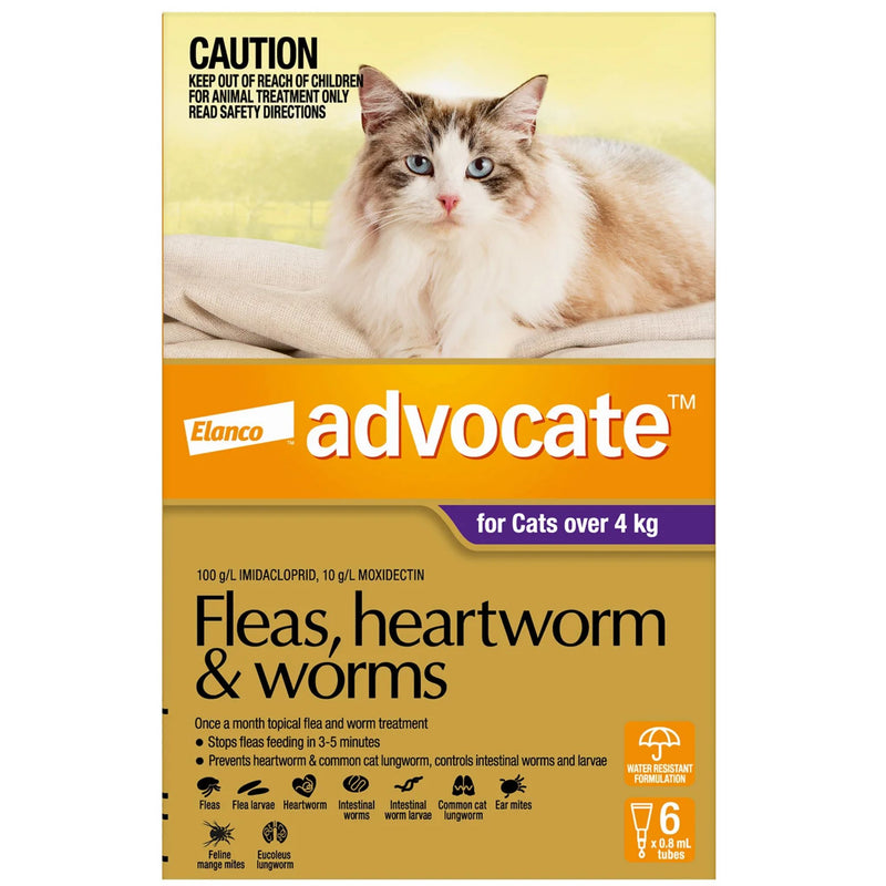 Advocate for Cats over 4Kg Purple 6 Pack | PeekAPaw Pet Supplies