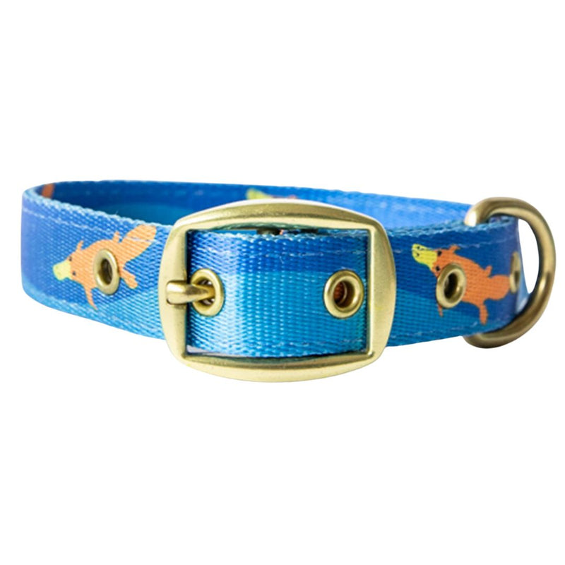 Anipal Piper The Platypus Recycled Dog Collar - Large | PeekAPaw Pet Supplies