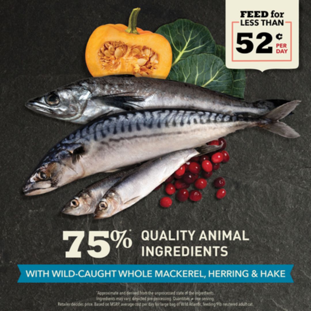 ACANA Dry Cat Food Wild Atlantic - Mackerel, Herring & Hake | PeekAPaw Pet Supplies