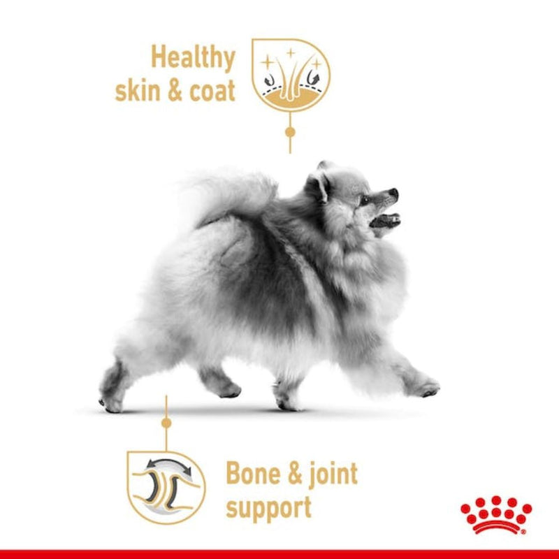 Royal Canin Pomeranian Adult Dry Dog Food - 1.5kg | PeekAPaw Pet Supplies