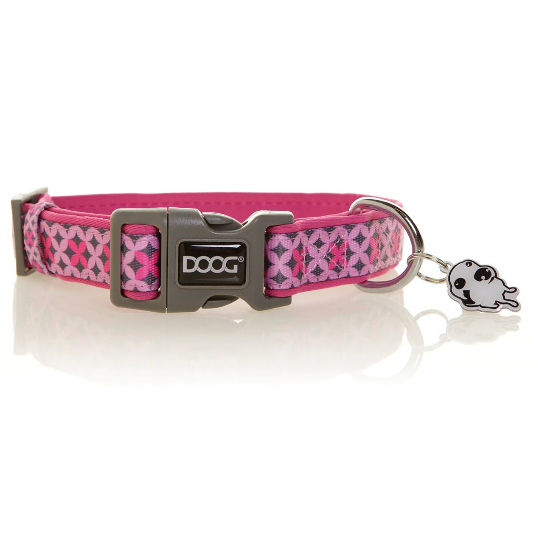 Doog Neoprene Dog Collar - Toto - Medium | PeekAPaw Pet Supplies