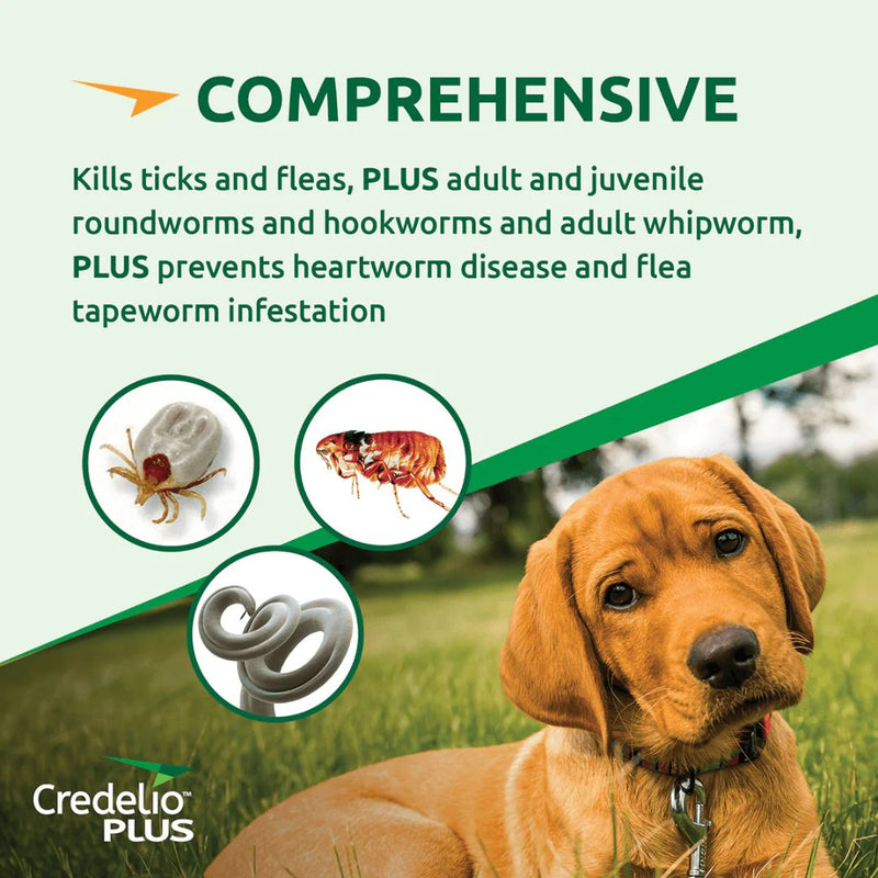 Credelio Plus for Medium Dogs 5.5-11kg | PeekAPaw Pet Supplies