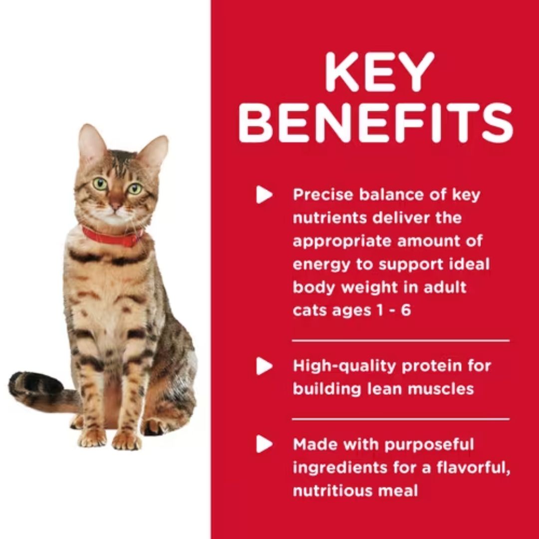 Hill's Science Diet Canned Cat Food Adult Healthy Cuisine Roasted Chicken & Rice Medley | PeekAPaw Pet Supplies