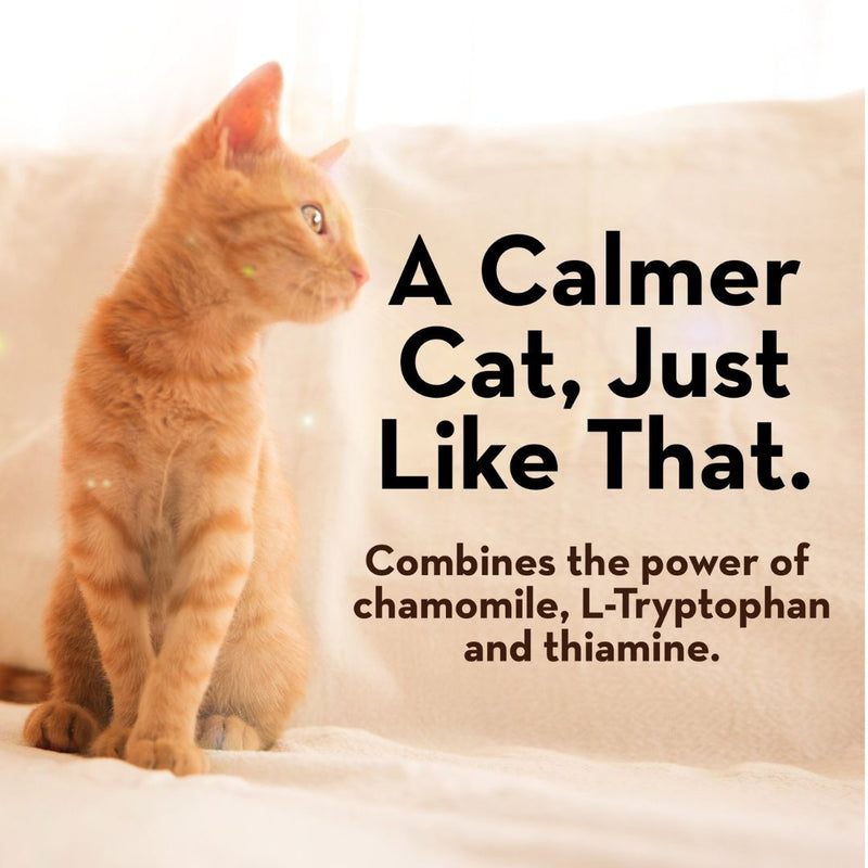 ThunderWunders Calming Chews for Cats | PeekAPaw Pet Supplies