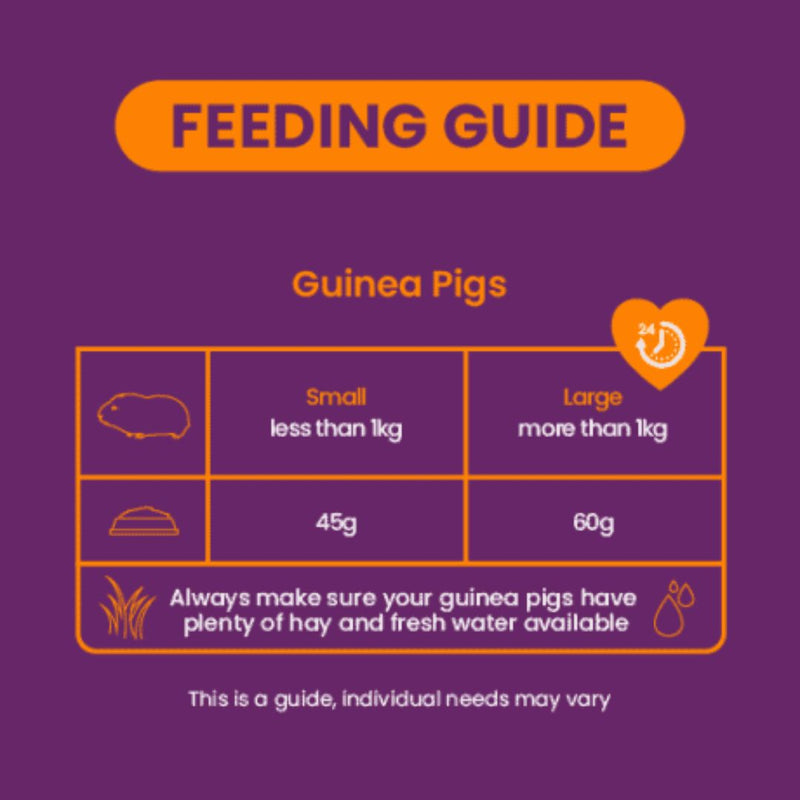 Burgess Excel Guinea Pig Nuggets with Blackcurrant & Oregano | PeekAPaw Pet Supplies