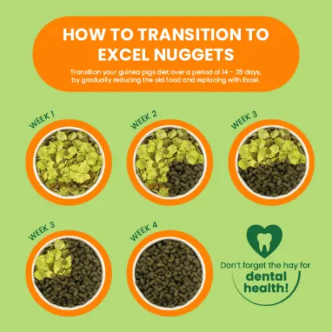 Burgess Excel Guinea Pig Nuggets Mint | PeekAPaw Pet Supplies