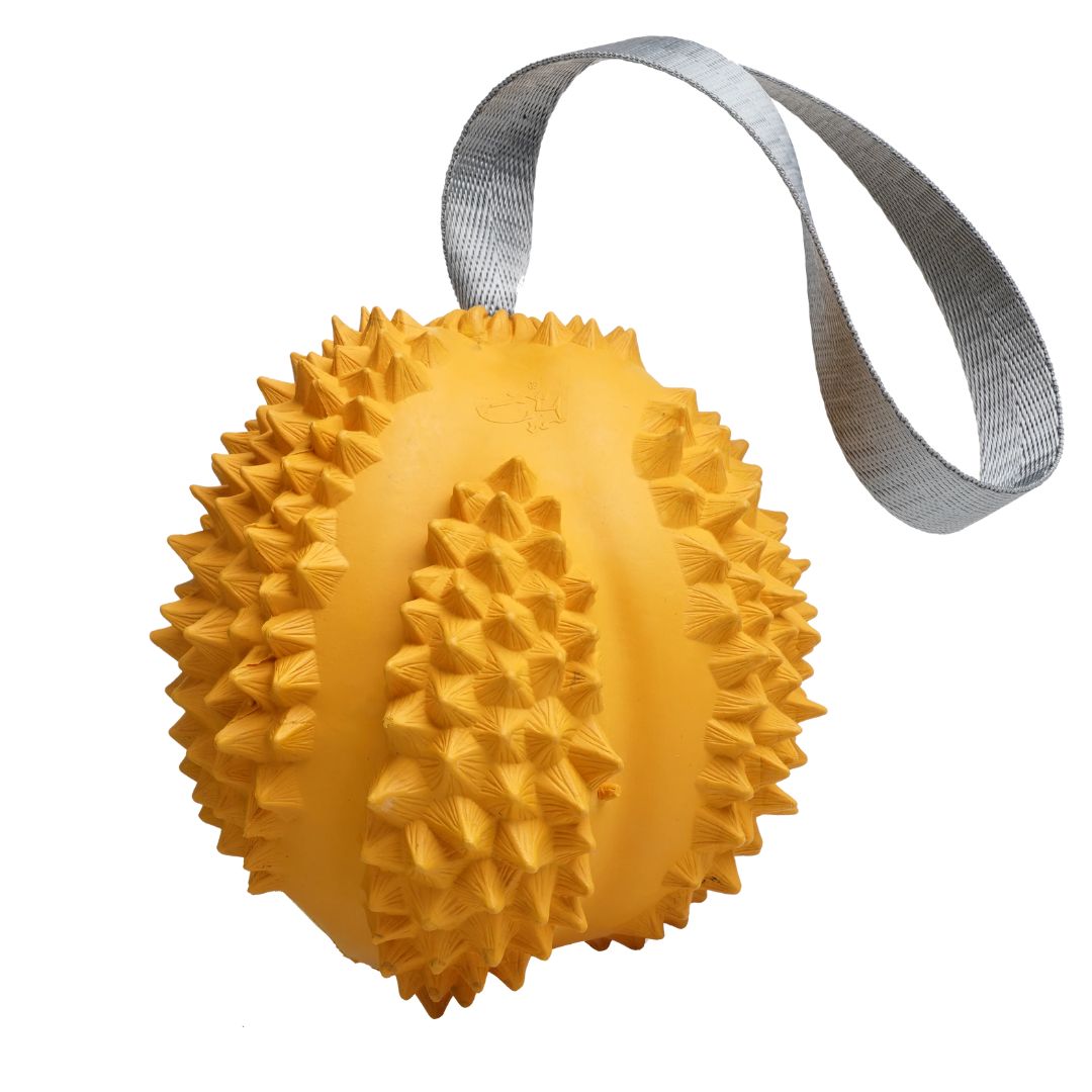 Petopia Ultra Tough Dog Toy Durable Durian - L | PeekAPaw Pet Supplies