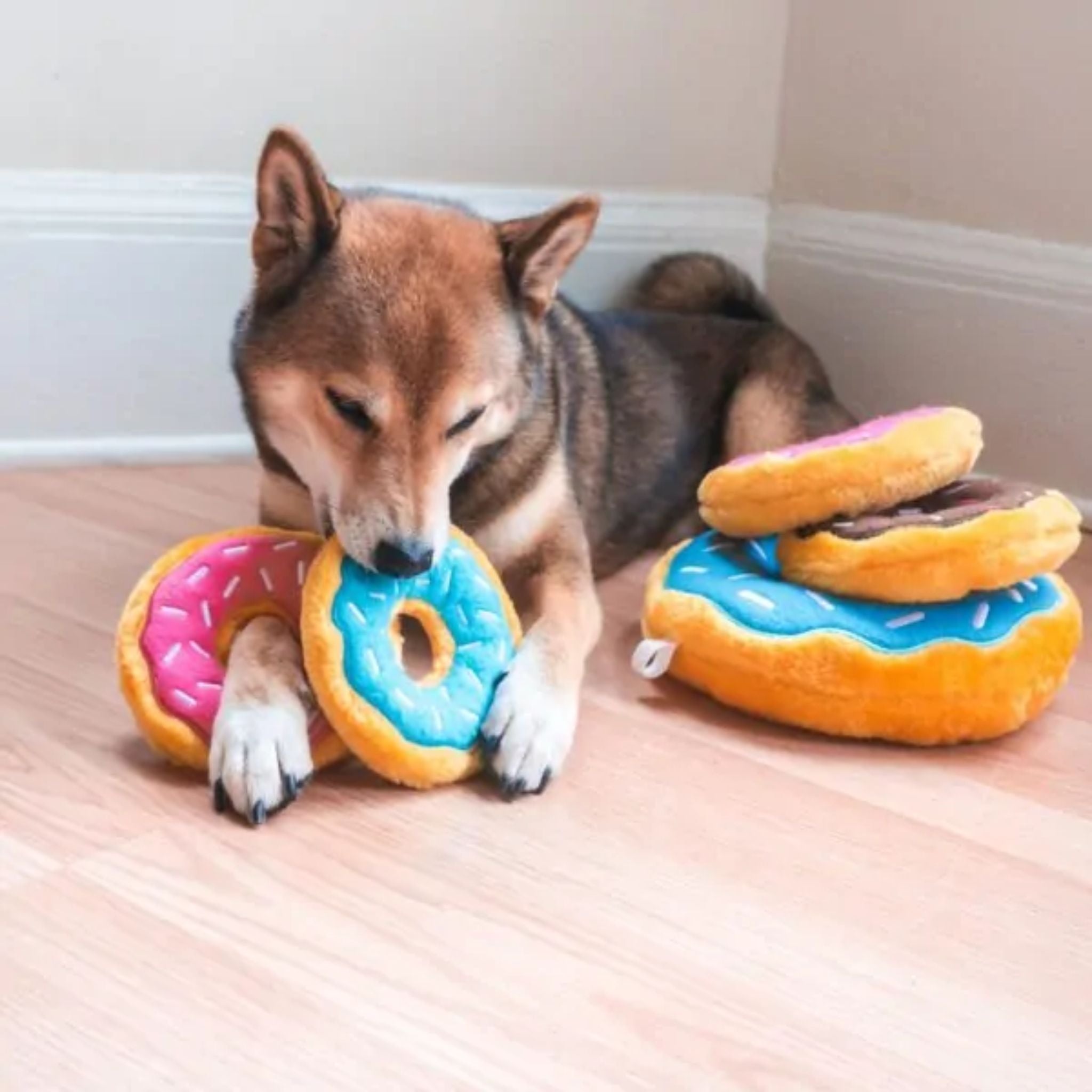 Zippy Paws Dog Toys Plush Donutz | PeekAPaw Pet Supplies