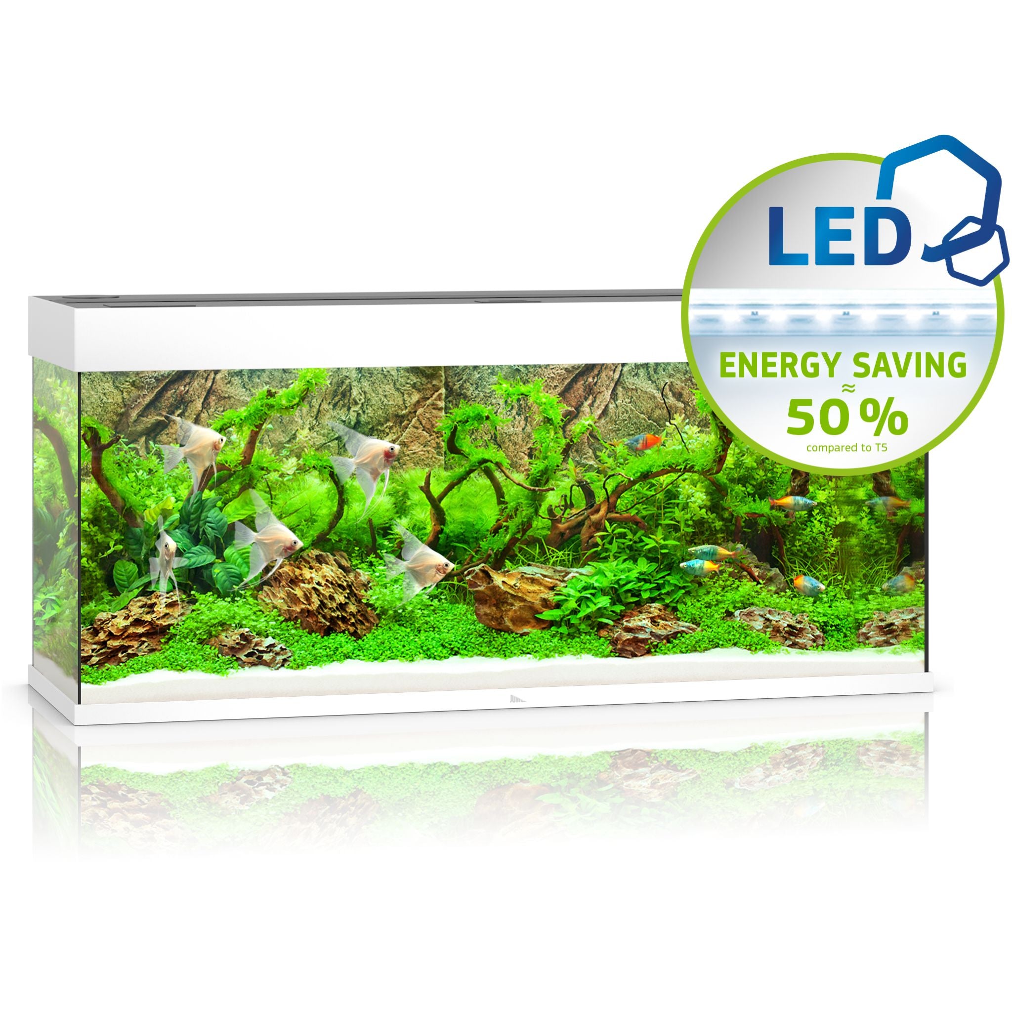 Juwel RIO LED Aquarium 240L