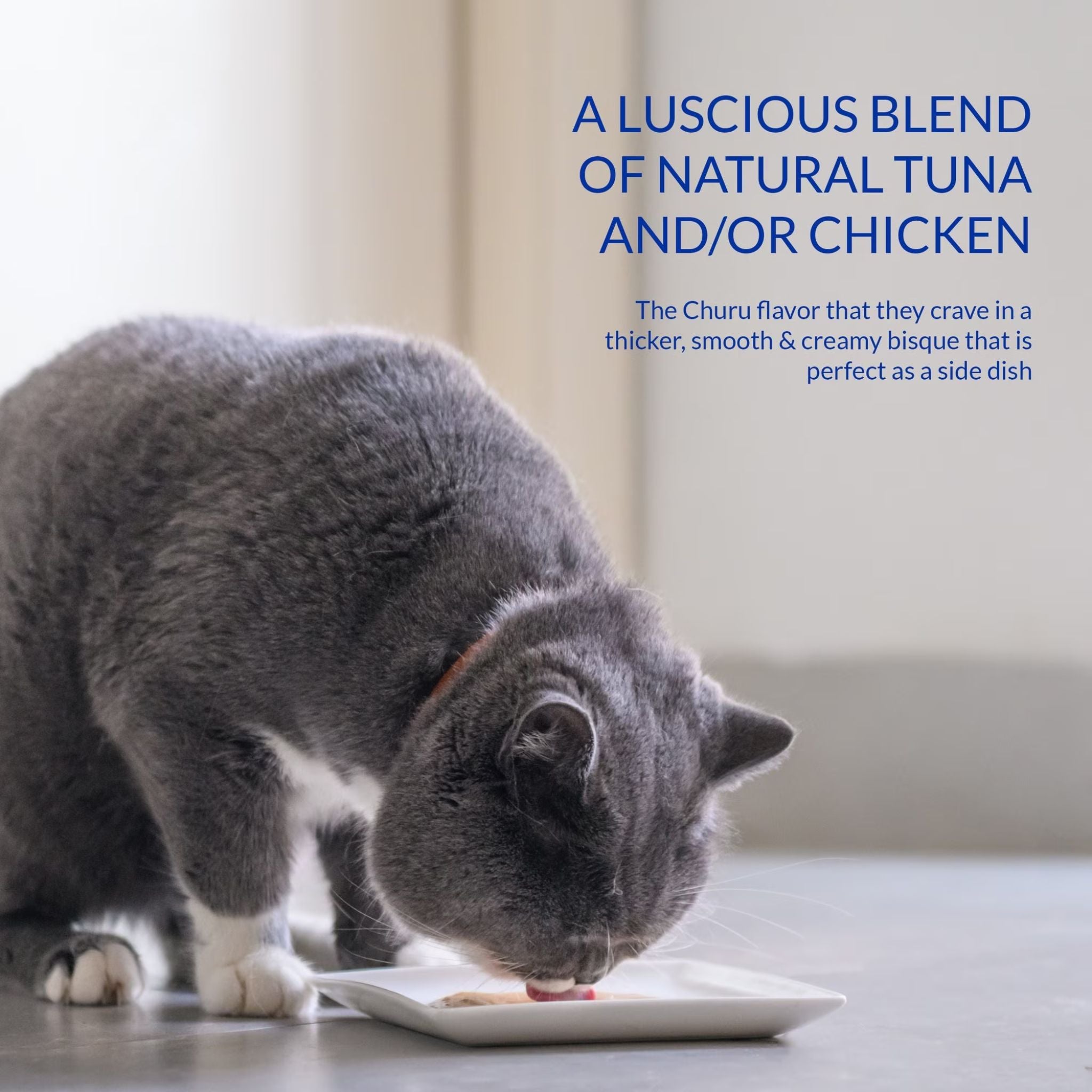 Inaba Cat Treat Churu Bisque Chicken