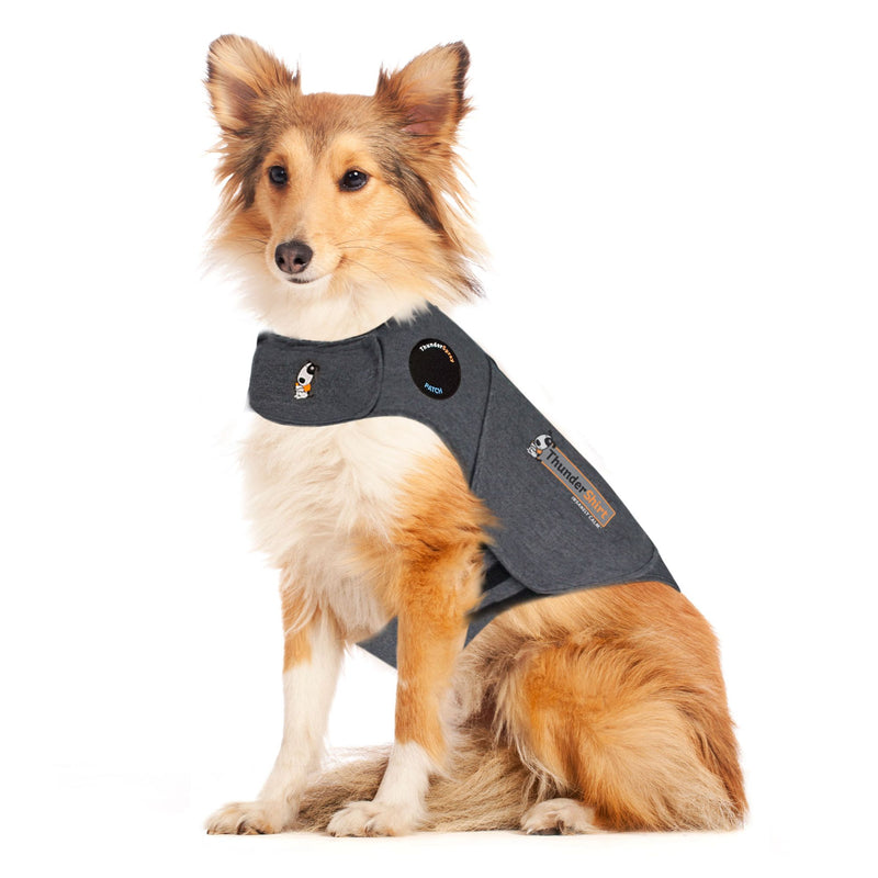 ThunderShirt for Dogs – Original Heather Grey - L | PeekAPaw Pet Supplies