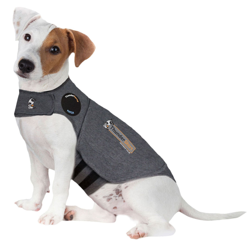 ThunderShirt for Dogs – Original Heather Grey - S | PeekAPaw Pet Supplies