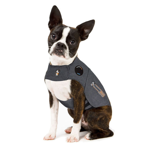 ThunderShirt for Dogs – Original Heather Grey - XS | PeekAPaw Pet Supplies