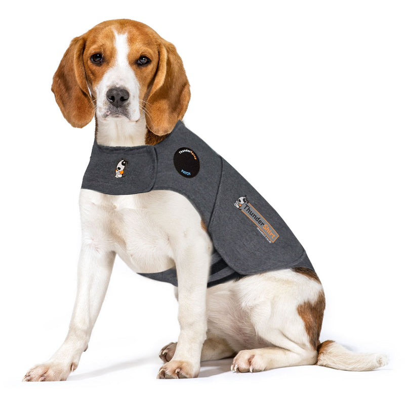 ThunderShirt for Dogs – Original Heather Grey - M | PeekAPaw Pet Supplies