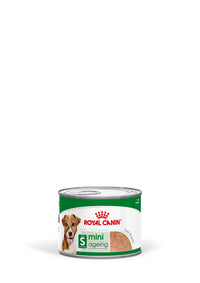 Royal Canin Mini Ageing 8+ Loaf canned wet dog food 195g packaging