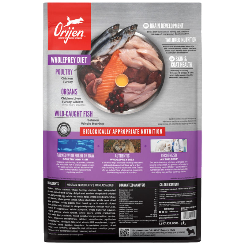 ORIJEN Biologically Appropriate Dry Dog Food Large Breed Puppy