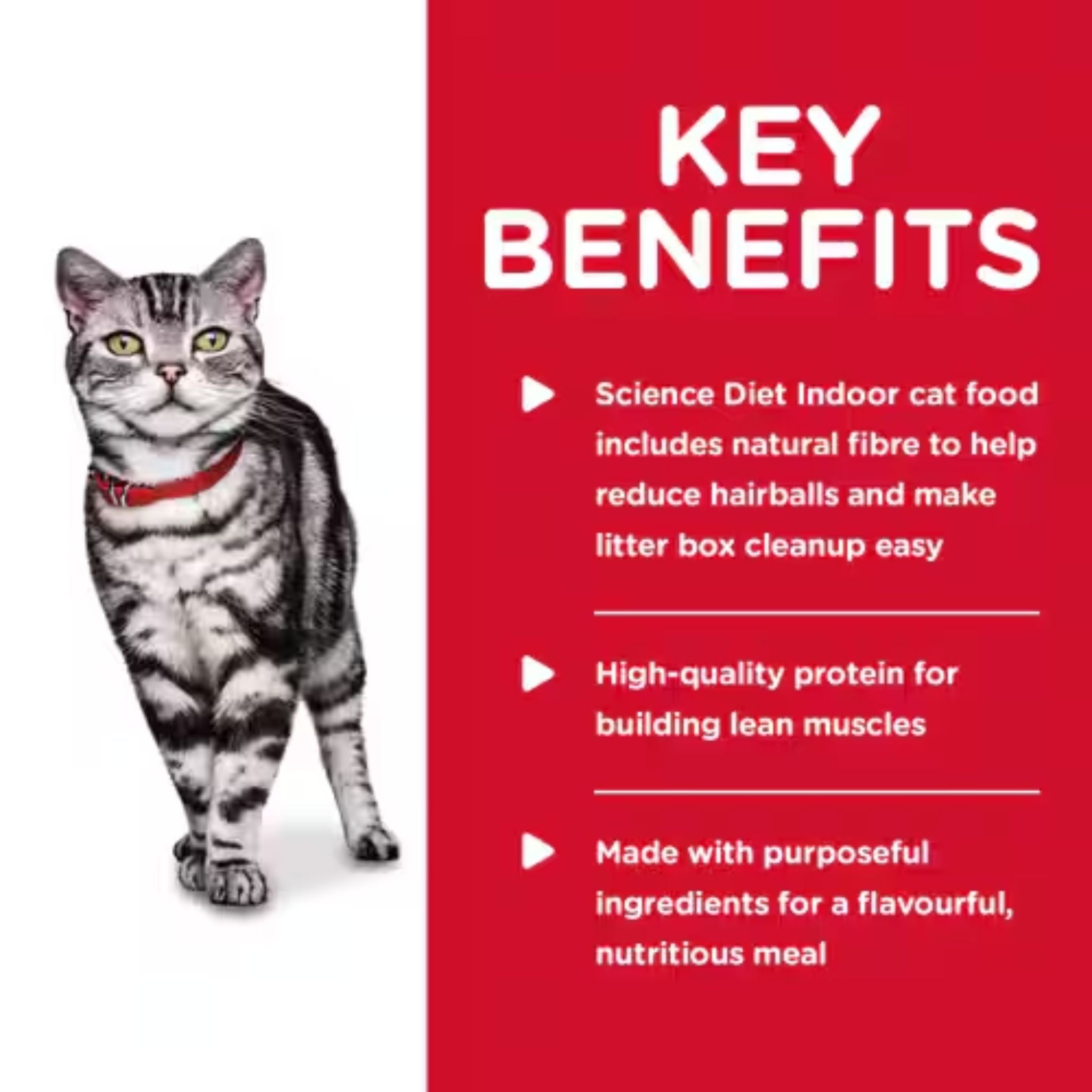 Hill's Science Diet Adult Indoor Savory Chicken Entree Wet Cat Food