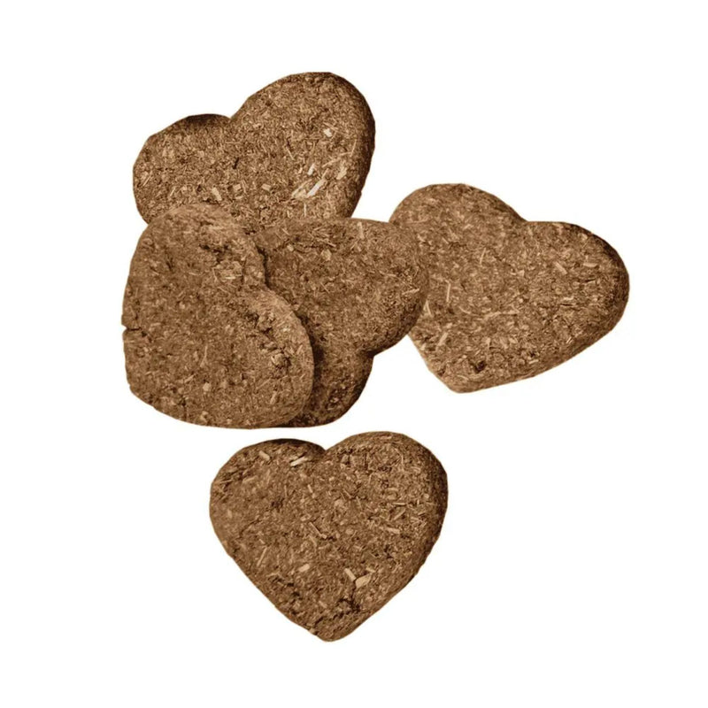 Oxbow Organic Rewards Barley Biscuits