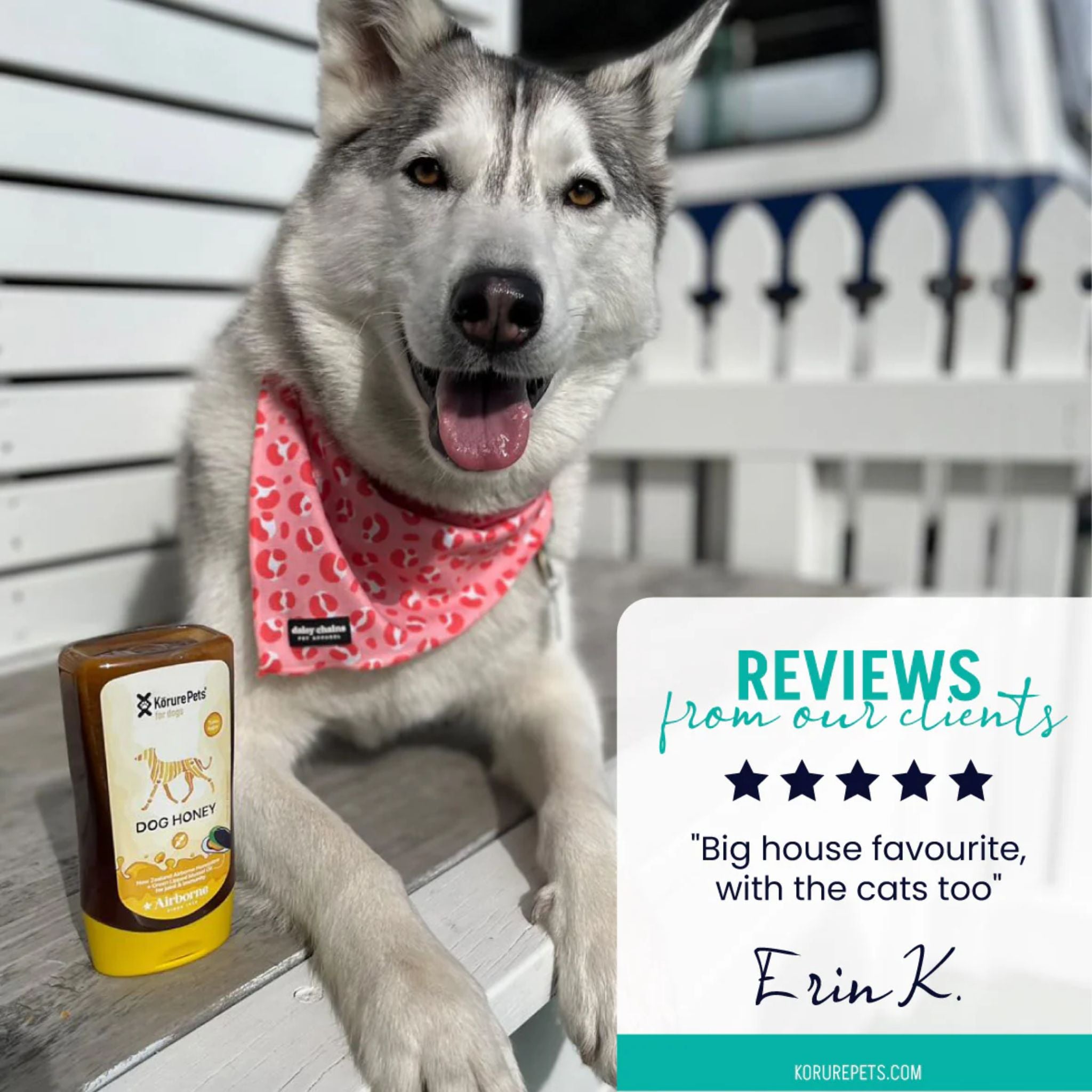 Korure Pets Dog Honey Plus Mussel Oil for Dogs