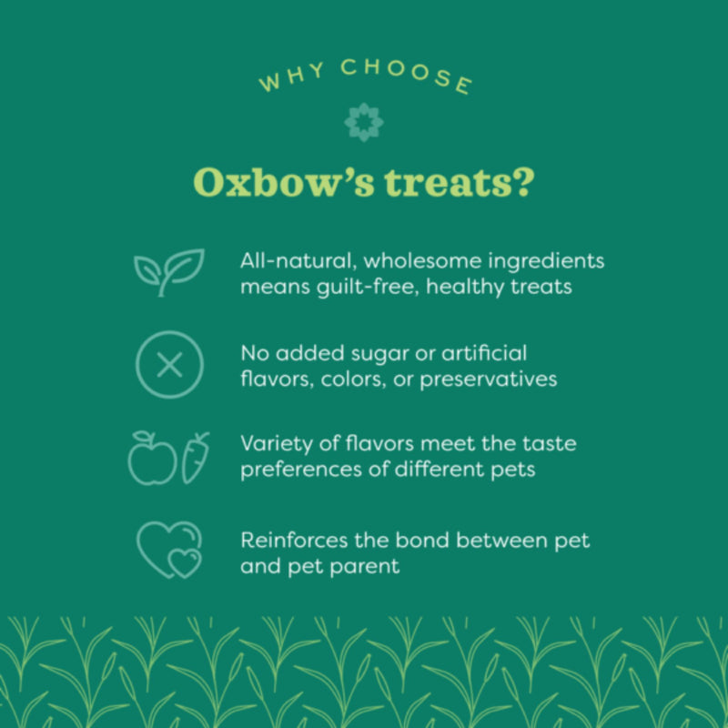 Oxbow Organic Rewards Barley Biscuits