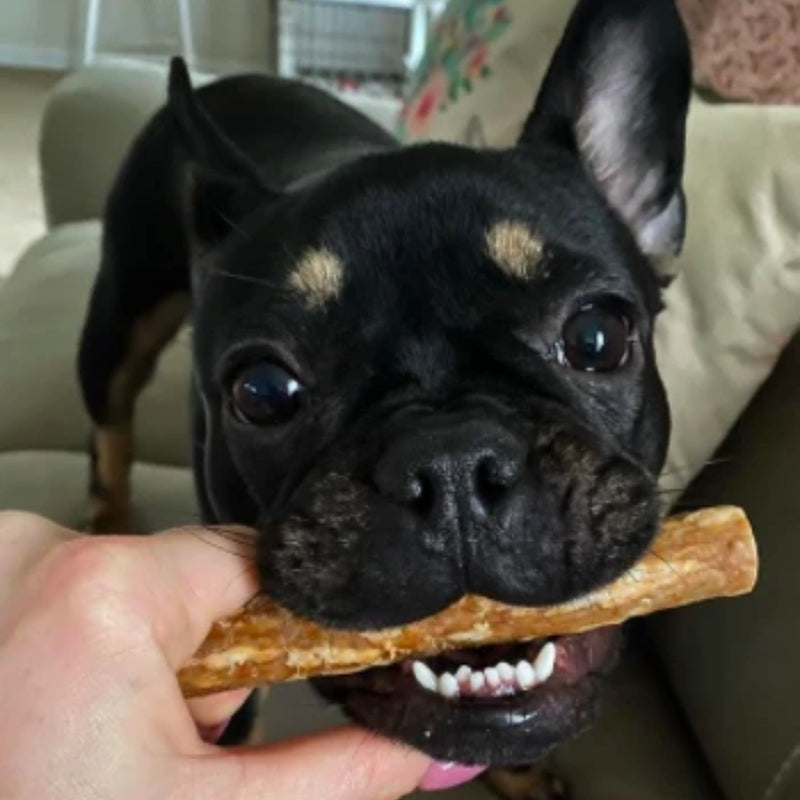 Whimzees Dental Dog Treats Veggie Sausage | PeekAPaw Pet Supplies