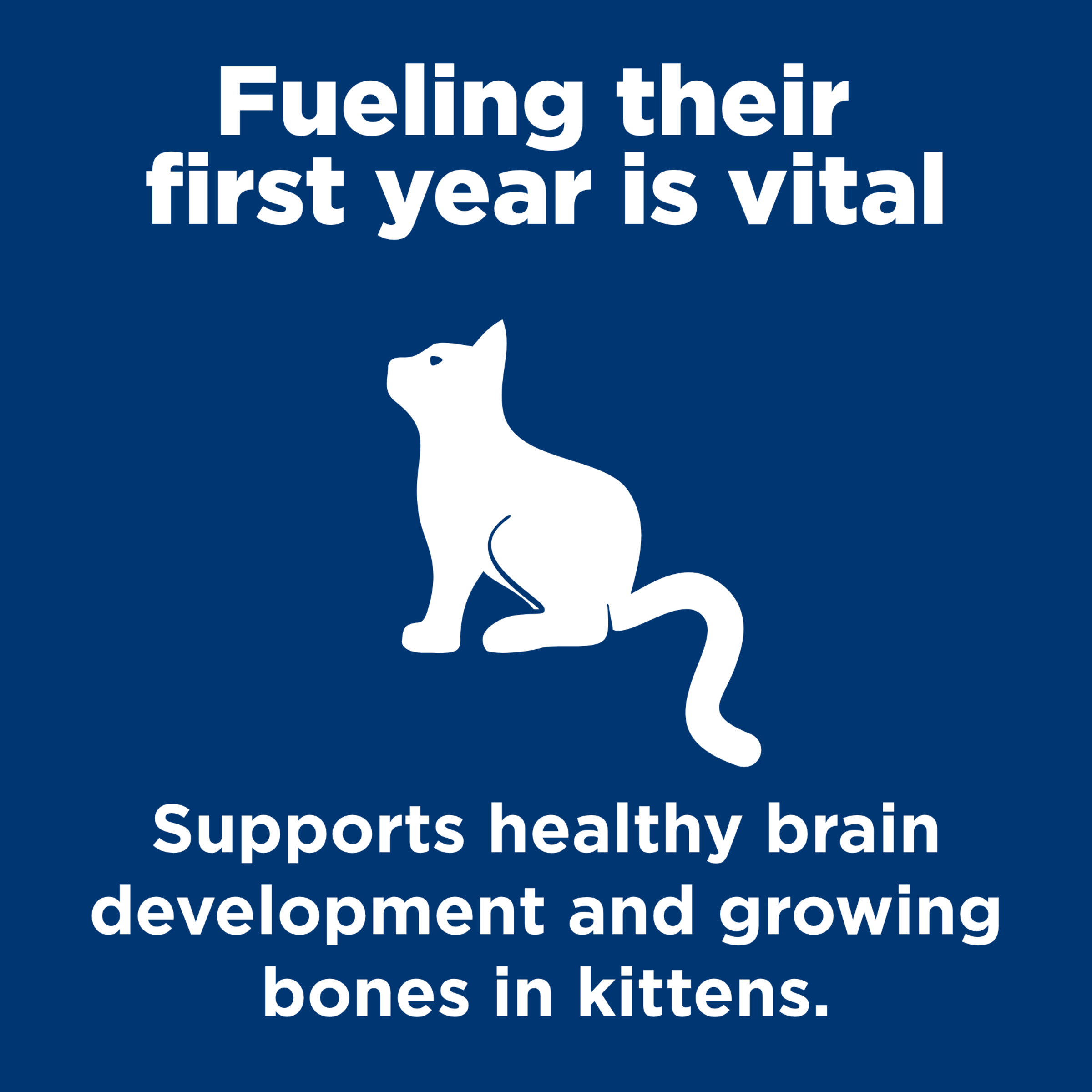 Fuelling their first year: Hill's graphic on brain development and growing bones in kittens