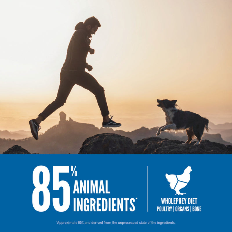 ORIJEN Biologically Appropriate Dry Dog Food Original