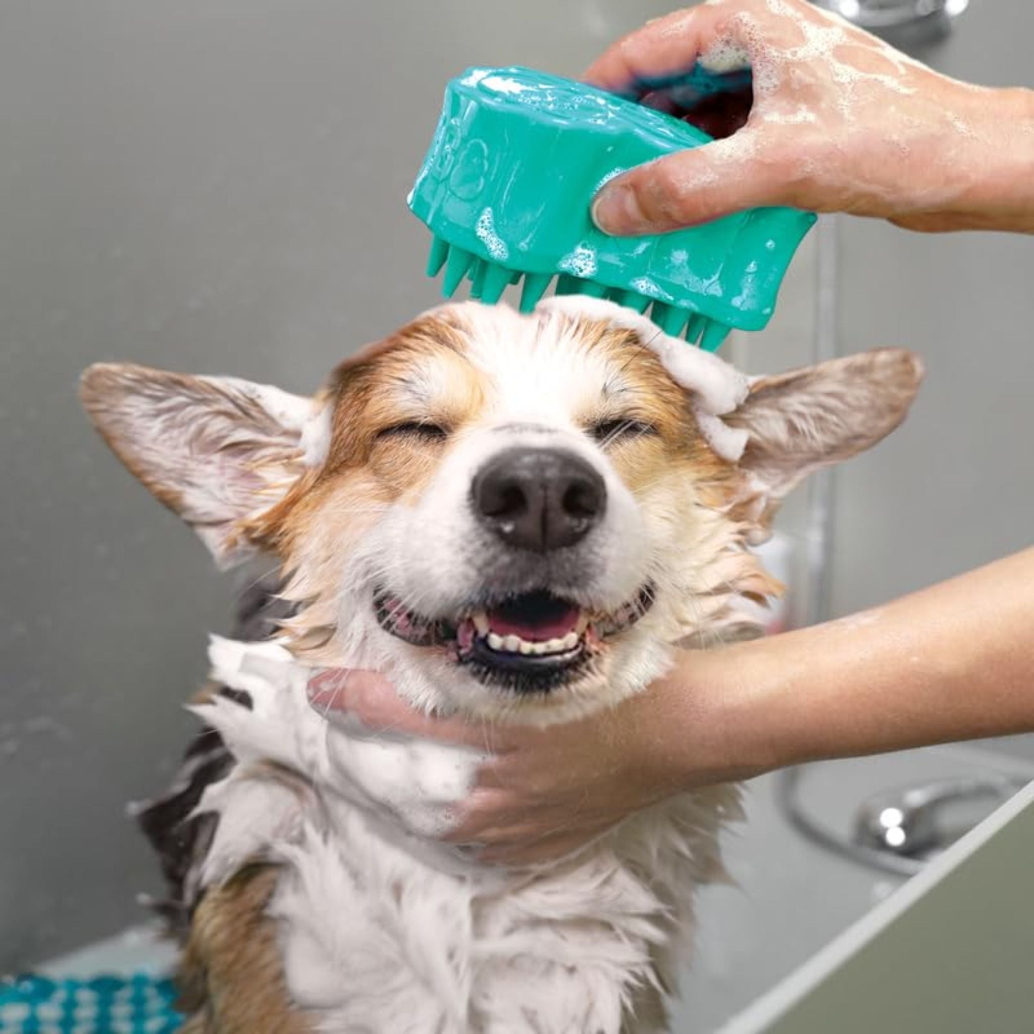 KONG ZoomGroom Bubbles Grooming Brush