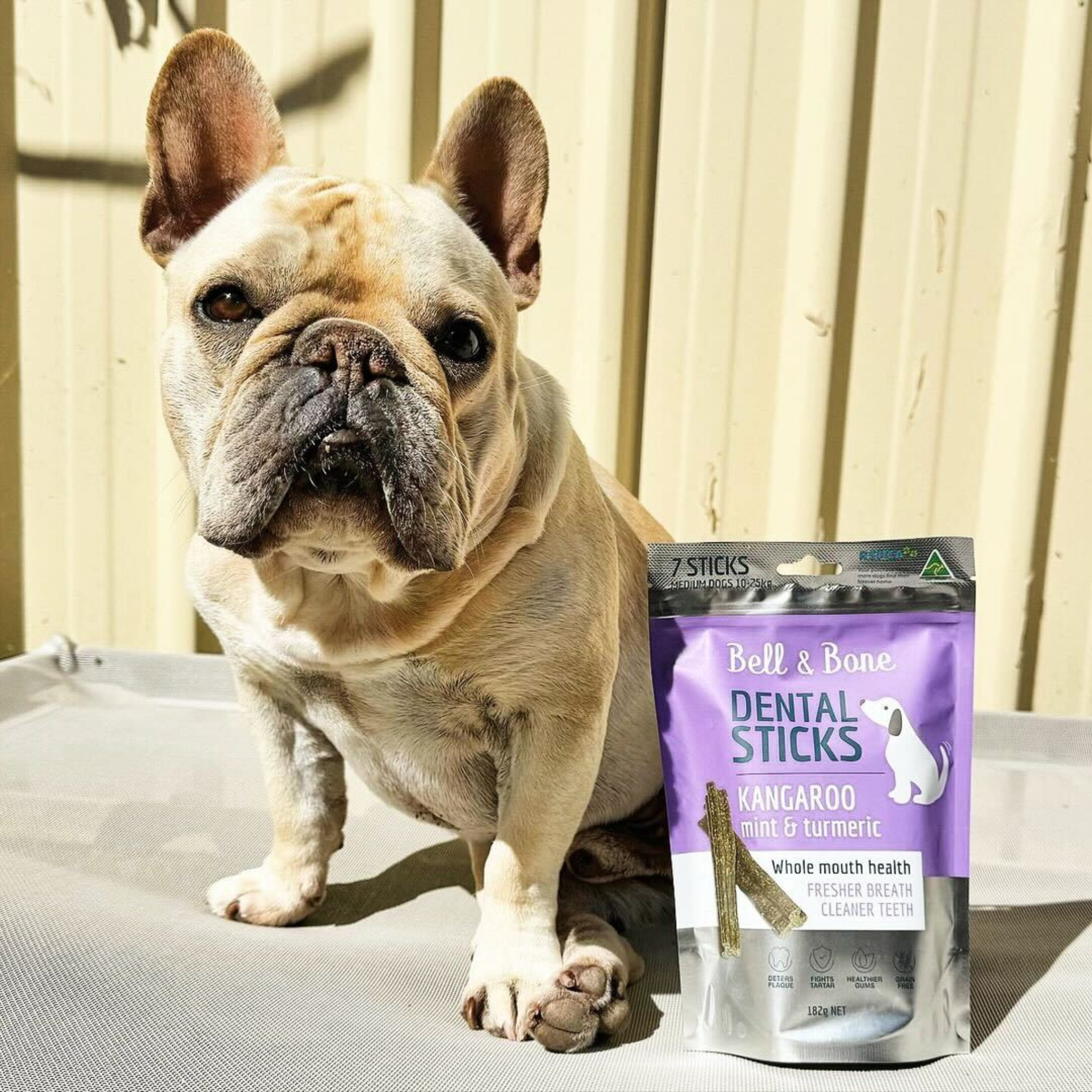 Bell and Bone Dental Sticks for Adult Dogs - Kangaroo, Mint & Turmeric