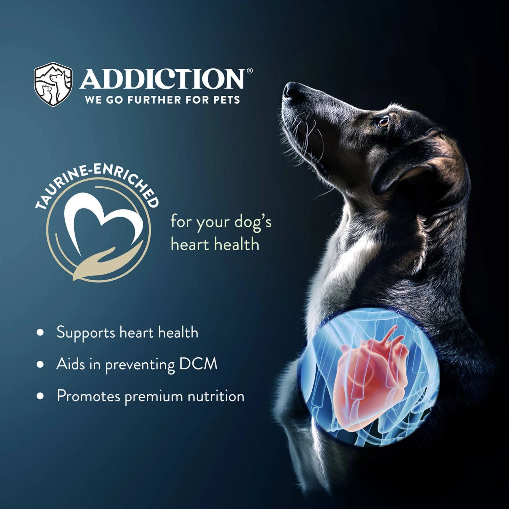 ADDICTION Outback Kangaroo Feast Raw Alternative Dog Food