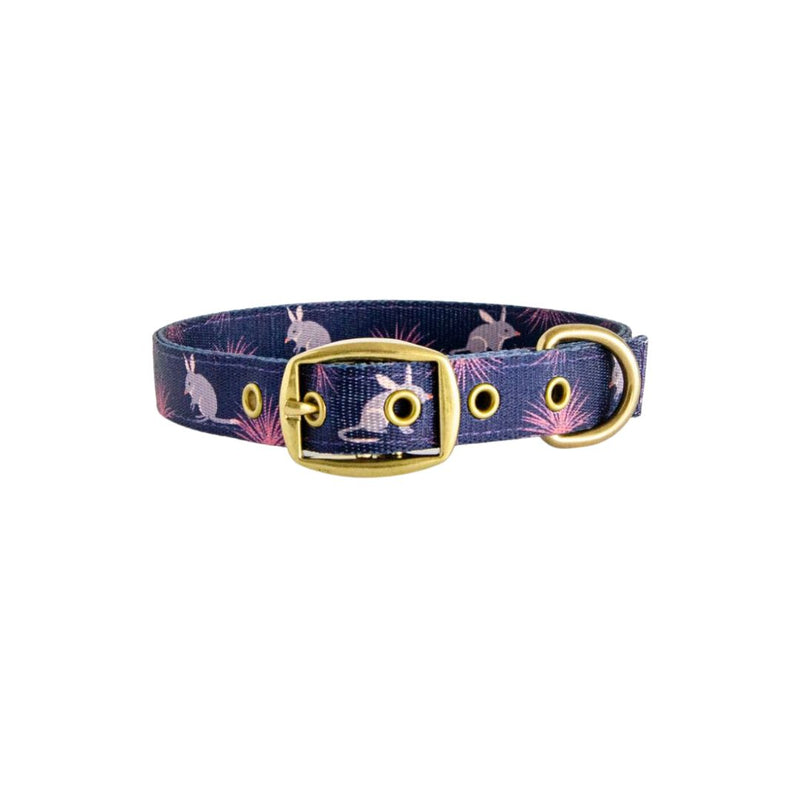 Anipal Billie the Bilby Dog Collar - Medium | PeekAPaw Pet Supplies
