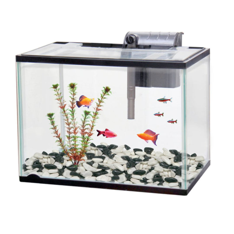 Classica Aquarium Starter Kit