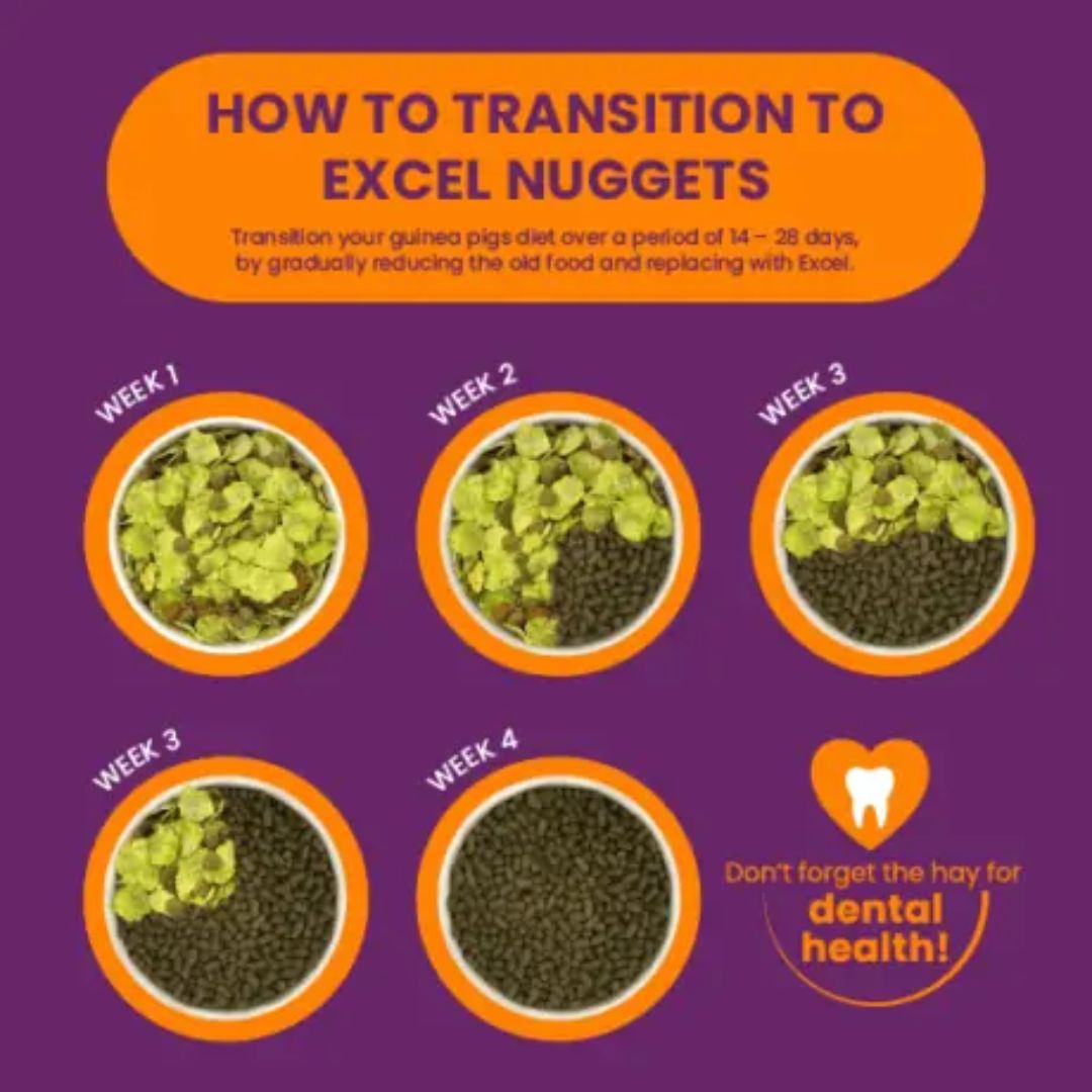 Burgess Excel Guinea Pig Nuggets with Blackcurrant & Oregano | PeekAPaw Pet Supplies