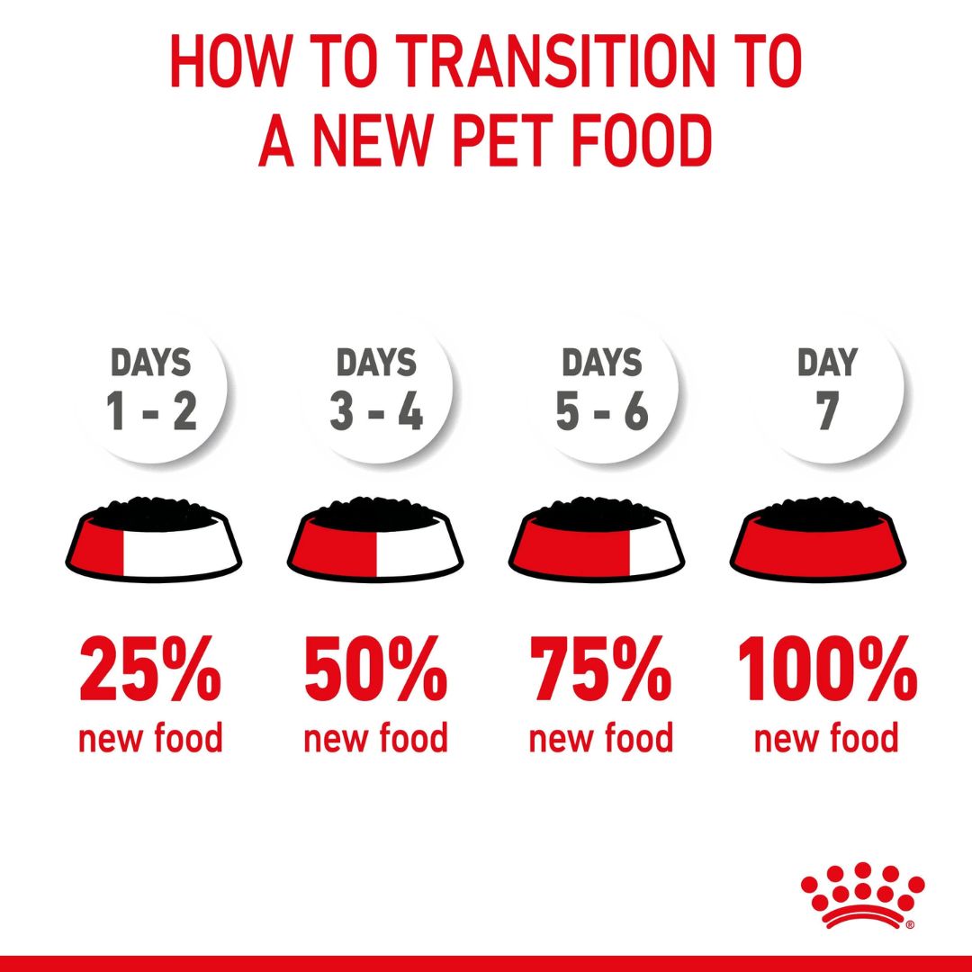 Royal Canin Mother and BabyCat Mousse | PeekAPaw Pet Supplies