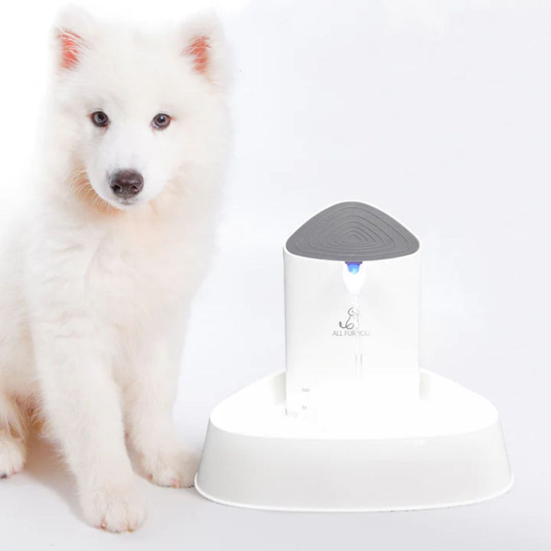 All Fur You Seashell Pet Water Fountain & Accessories