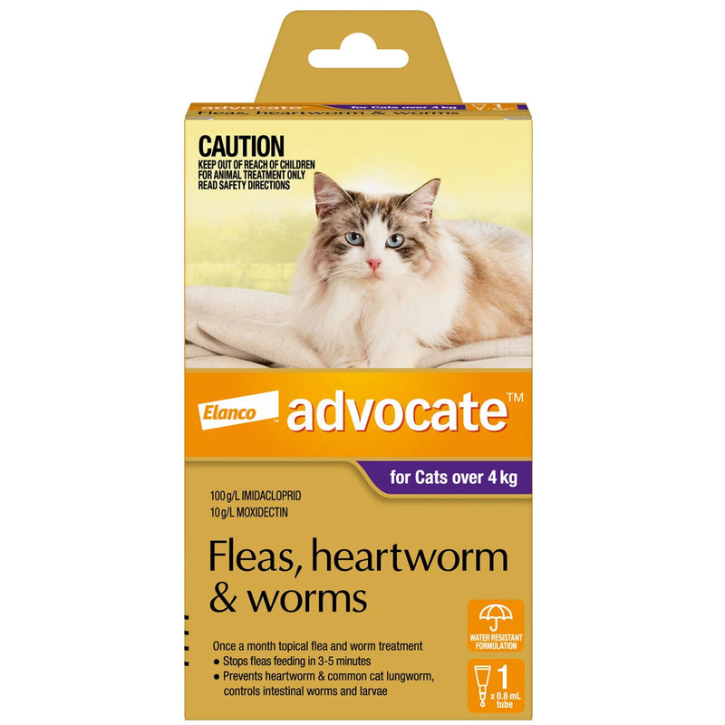 Advocate for Cats over 4Kg Purple 1 Pack | PeekAPaw Pet Supplies